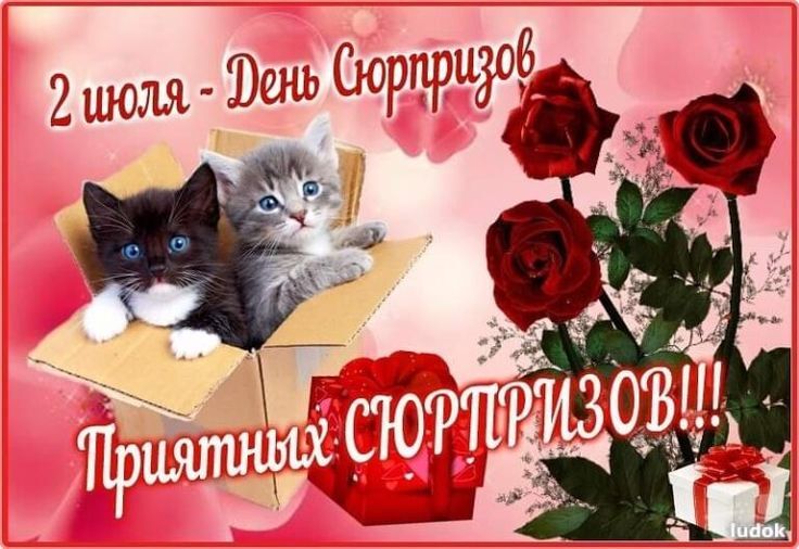 02.07 - ДЕНЬ СЮРПРИЗОВ..